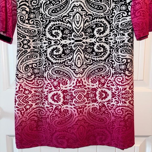 Haani Dresses & Skirts - Haani Black and Pink Paisley Dress